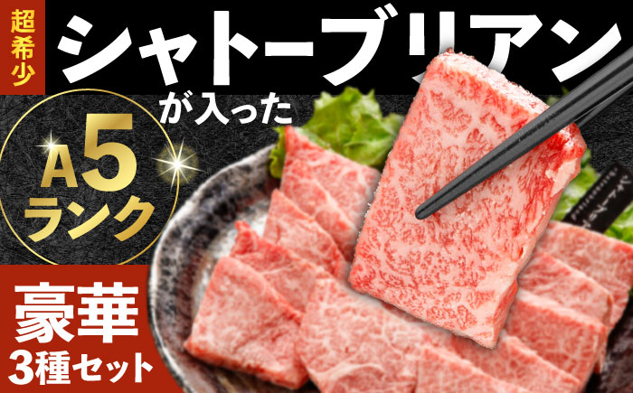 〈シャトーブリアン入り〉希少部位 焼肉 6種食べ比べセット 600g(各100g) / シャトー サーロイン カルビ モモ ロースザブトン ミスジ トモサンカク イチボ ランプ 長崎和牛 国産 牛肉 和牛 a5 焼肉 やきにく 焼き肉用 セット / 諫早市 / 野中精肉店[AHCW146]