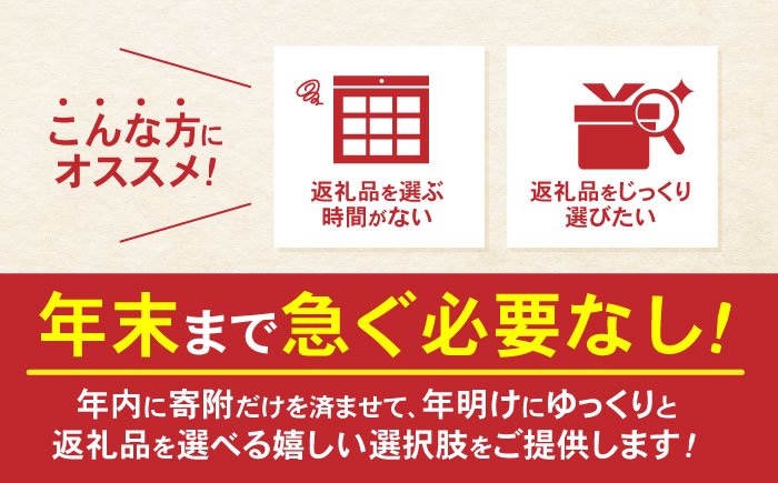 【あとから選べる】諫早市 ふるさと納税返礼品 40万円分 / あとから寄附 あとからギフト 選べる寄附 40万円 400000円 / 諫早市 [AHDC032]