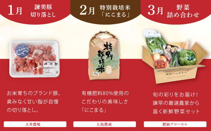 【諫早市市制施行20周年特別企画】【12回定期便】バラエティ定期便 諫早市人気返礼品オールスター / 豚肉 米 野菜 ローストビーフ スイーツ うなぎ ゼリー カステラ 卵 餃子 みかん ステーキ / 諫早市 [AHDC041]