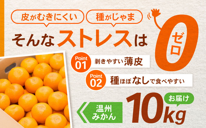 諫早市産 温州みかん 10kg / みかん ミカン 蜜柑 オレンジ フルーツ ふるーつ 果物 くだもの 10kg / 諫早市 / 肥前グローカル株式会社 [AHDI010]