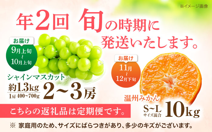 【2回定期便】※【2026年シーズン発送／先行予約】フルーツ定期便 シャインマスカット 約1.3kg(2～3房) / 温州みかん(10kg) 家庭用 / フルーツ フルーツ定期便 果物定期便 シャインマスカット みかん / 諫早市 / 肥前グローカル株式会社 [AHDI012]