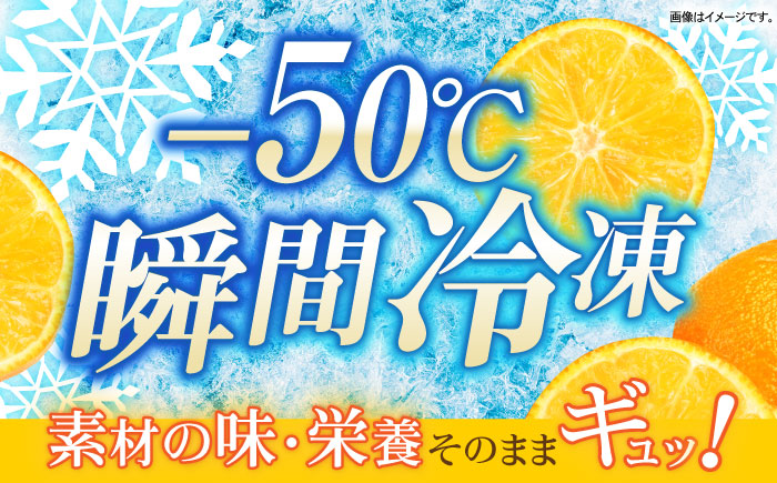 長崎冷果 みかん 6袋セット / 冷凍 冷凍フルーツ みかん ミカン 柑橘 / 諫早市 / エスジーエス株式会社 [AHEQ002]