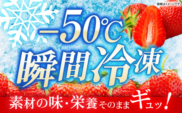 【業務用】大容量 長崎いちご 4袋セット / 冷凍 冷凍フルーツ いちご イチゴ 苺 2kg / 諫早市 / エスジーエス株式会社 [AHEQ005]
