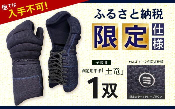 【ふるさと納税限定仕様】剣道用甲手「土竜」（子供用）/ 諫早市 / 株式会社　三恵 [AHEV002]