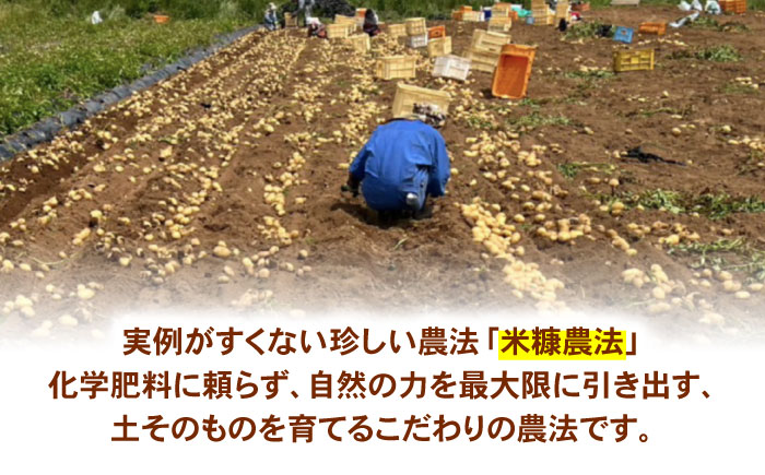 訳ありジャガイモ(あいゆたか)　10kg / 諫早市 / 未来ファーム [AHEY007]