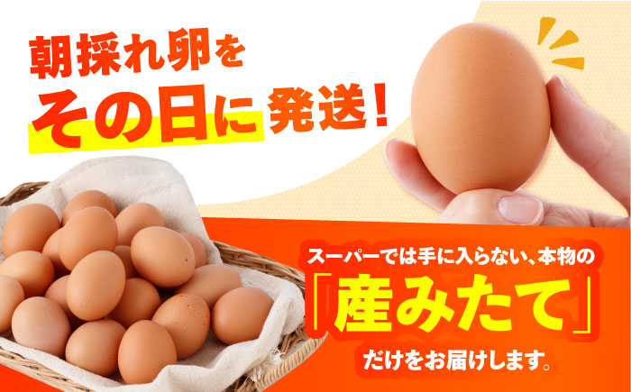【朝採れ直送】小峰鶏園 赤たまご Lサイズ 60個 / 卵 玉子 たまご 卵焼き 玉子焼き 生卵 鶏卵 卵かけごはん / 諫早市 / 小峰鶏園 [AHFB001]