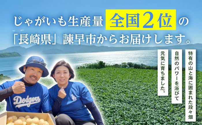 じゃがいも アイユタカ 10kg (S～2Lサイズ/約50～60個) / じゃがいも ジャガイモ ポテト 九州 あいゆたか アイユタカ 野菜 やさい / 諫早市 / スマイルファーム　 [AHFG001]