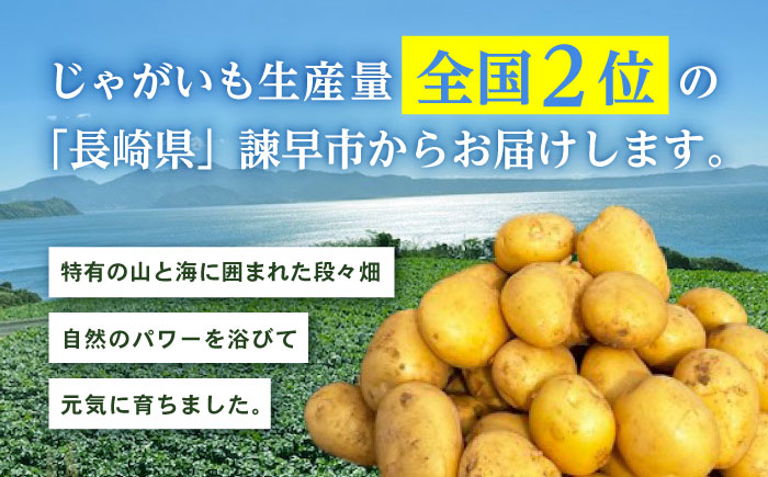 秋の実り詰合せ（アイユタカ・ニンジン）10kg / じゃがいも ジャガイモ ポテト 九州 あいゆたか アイユタカ にんじん ニンジン 人参 野菜 やさい / 諫早市 / スマイルファーム　 [AHFG009]