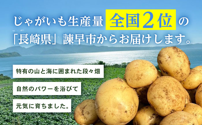 秋の実り詰合せ（アイマサリ・ニンジン）10kg / じゃがいも ジャガイモ ポテト 九州 あいまさり アイマサリ にんじん ニンジン 人参 野菜 やさい / 諫早市 / スマイルファーム　 [AHFG010]
