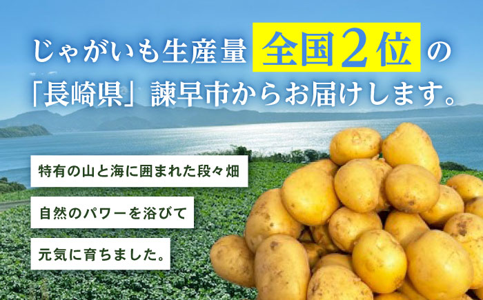 春ジャガ味くらべセット（アイユタカ・メークイン）/ じゃがいも ジャガイモ ポテト 九州 あいゆたか アイユタカ メークイン メイクイーン 野菜 やさい / 諫早市 / スマイルファーム　 [AHFG011]