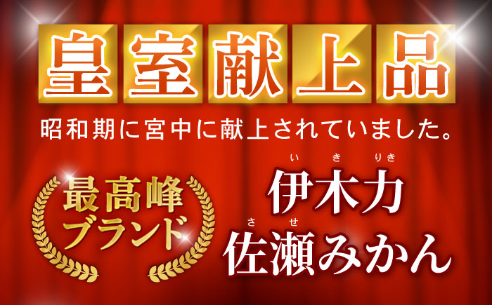 早生みかん　10kg / 諫早市 /伊佐農園 [AHFI012]