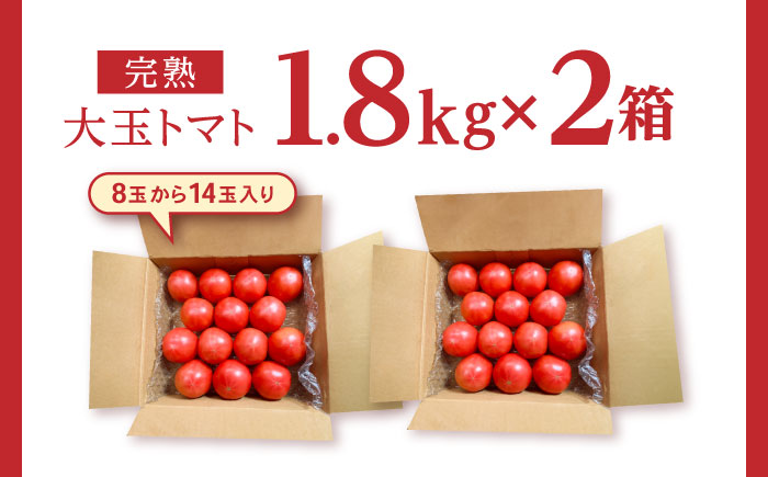 完熟大玉トマト 3.6kg(1.8kg×2) / トマト とまと tomato トマトジュース 野菜 やさい サラダ 完熟 甘い / 諫早市 / 菜食美農園 [AHFK001]