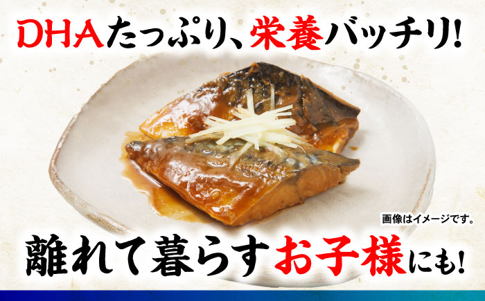 魚屋の鯖の味噌煮7枚セット / 鯖 さば サバ 味噌煮 おかず / 諫早市 / 竹野鮮魚店 [AHAN002]