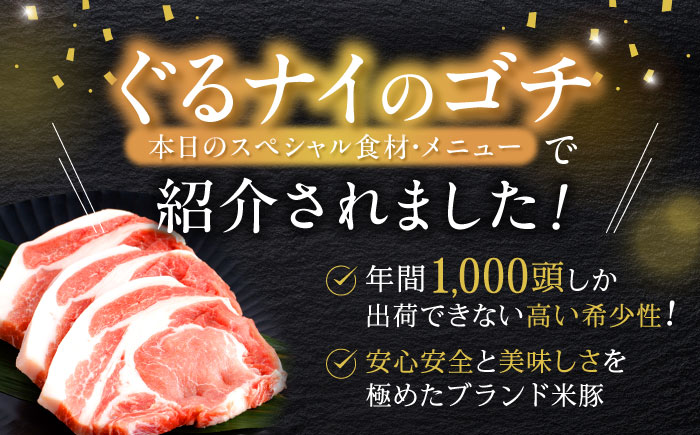 【2回定期便】諫美豚おすすめバラエティセット3kg / 諫美豚 豚肉 肩ロース ステーキ モモ 切り落とし ハンバーグ ロースステーキ / 諫早市 / 株式会社土井農場 [AHAD001]