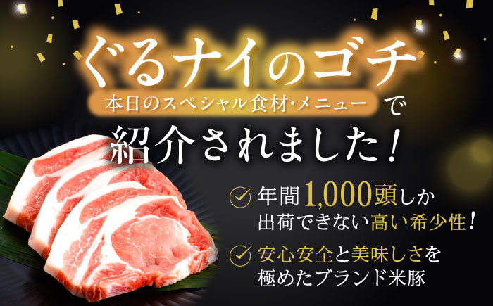 【12回定期便】諫美豚おすすめバラエティセット3kg / 諫美豚 豚肉 肩ロース ステーキ モモ 切り落とし ハンバーグ ロースステーキ / 諫早市 / 株式会社土井農場 [AHAD011]