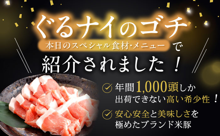 諫美豚焼肉セット計1.2kg / 豚肉 ロース バラ モモ 焼肉 小分け / 諫早市 / 株式会社土井農場 [AHAD057]