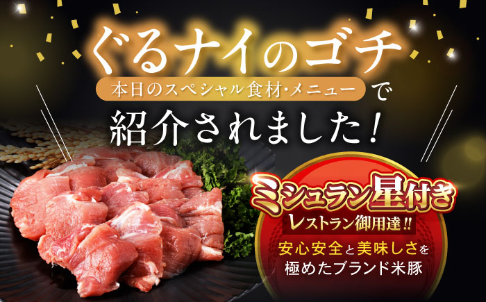 黒豚諫美豚プレミアム100 ヒレカツ用 450g / 豚肉 肉 ヒレ 黒豚 とんかつ トンカツ / 諫早市 / 株式会社土井農場 [AHAD077]