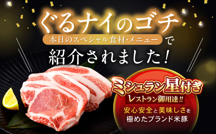 黒豚諫美豚プレミアム100 ロースステーキ 300g（150g×2枚） / 豚肉 ぶたにく ステーキ すてーき ロース ろーす テキカツ 焼肉 生姜焼き / 諫早市 / 株式会社土井農場 [AHAD084]