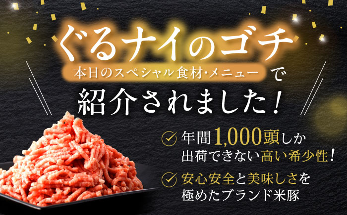 諫美豚 挽き肉 2.1kg（300g×7P）/ 豚肉 ぶたにく ミンチ みんち ひき肉 ひきにく 挽肉 挽き肉 ハンバーグ はんばーぐ / 諫早市 / 株式会社土井農場 [AHAD088]