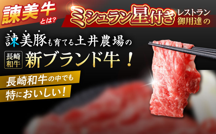 【特Aのブランド米で育てた】諫美牛 しゃぶしゃぶ・すき焼き用 500g(250g×2) / 牛肉 ぎゅうにく 和牛 牛 肉 国産 しゃぶしゃぶ すき焼き / 諫早市 / 株式会社土井農場 [AHAD092]