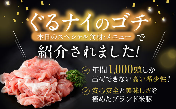 【ブランド牛＆ブランド豚の食べ比べ】諫美牛 切り落とし 600g(300g×2) ＆ 黒豚諫美豚プレミアム100 ウデ肉 切り落とし 600g(300g×2) / 切り落とし 牛肉 食べ比べ A5 赤身 焼肉 豚 豚肉 小分け ブラント豚 ハム / 諫早市 / 株式会社土井農場 [AHAD102]