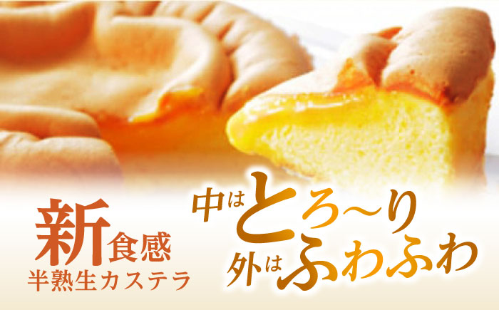 【年内配送】(12/23入金分まで)半熟生カステラ3個(プレーン・メープル・ショコラ)×2セット / カステラ かすてら 卵 人気 長崎 / 諫早市 / 株式会社菓秀苑森長 [AHAG007]