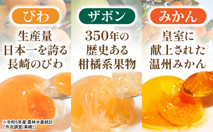 【年内配送】(12/17入金分まで)【地元素材】長崎旬彩9個入(長崎びわゼリー、長崎ザボンゼリー、伊木力みかんゼリー) / ゼリー みかん ミカン ザボン びわ / 諫早市 / 有限会社あじさい [AHAH002]