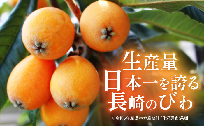 【年内配送】(12/17入金分まで)長崎びわゼリー 12個 / びわ ビワ 枇杷 ビワゼリー びわゼリー 枇杷ゼリー ゼリー / 諫早市 / 有限会社あじさい [AHAH003]