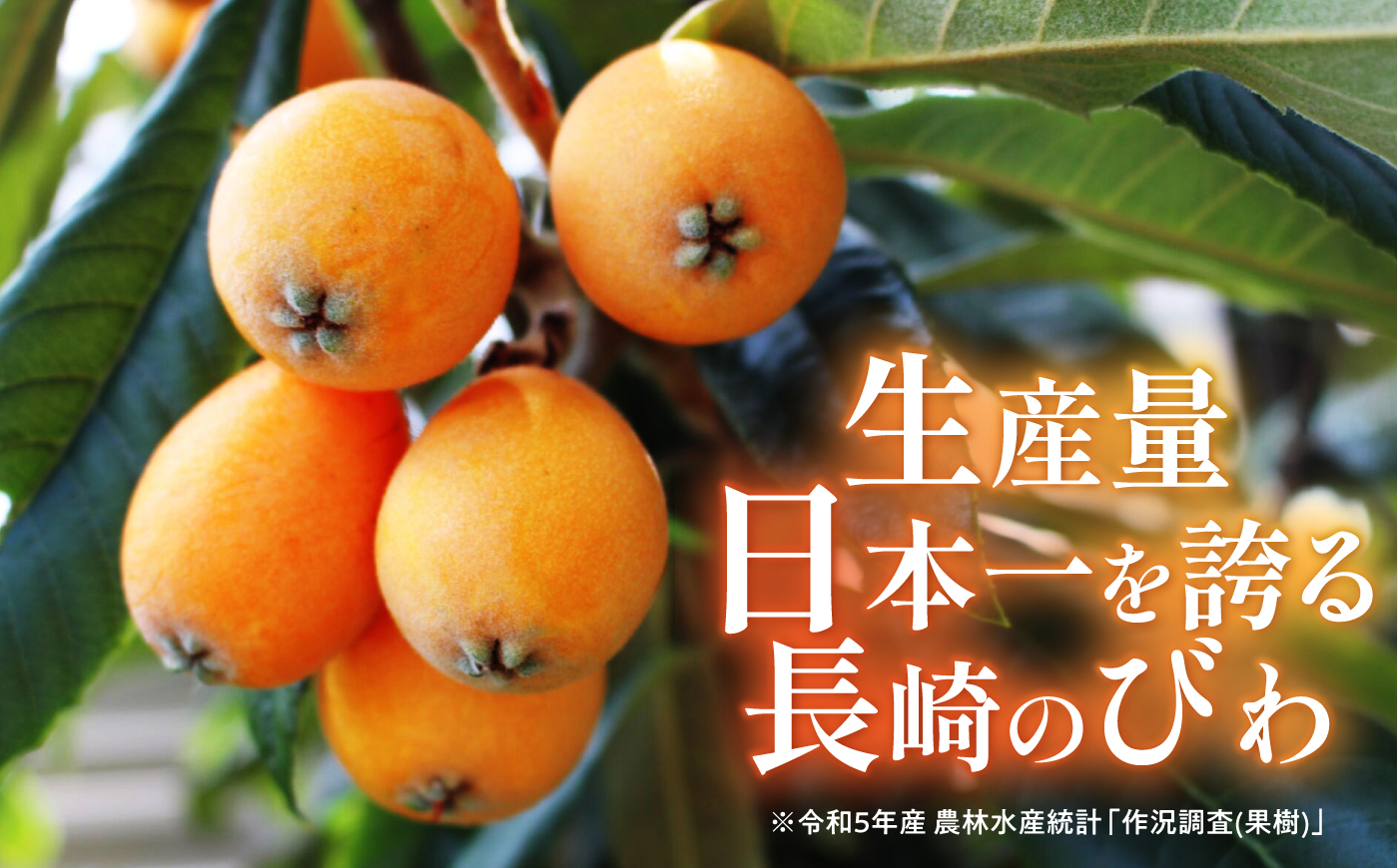 長崎びわゼリー 9個入×2セット / びわ ビワ 枇杷 ビワゼリー びわゼリー 枇杷ゼリー ゼリー 国産 果物 果実 / 諫早市 / 有限会社あじさい [AHAH012]