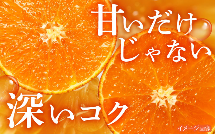 <先行受付> 伊木力佐瀬みかん5kg(混合サイズ：S～L)　/　みかん　佐瀬みかん　伊木力みかん　産地直送　産直　/　諫早市　/　山田果樹園 [AHAJ004]