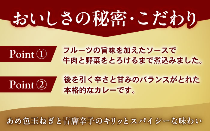 【小分け】【内袋のままレンジ調理可】日本ハム レストラン仕様カレー辛口10パックセット(1パック4袋入り)計40食分/ カレー かれー レトルト 牛肉 小分け / 諫早市 / 日本ハムマーケティング株式会社 [AHAL002]