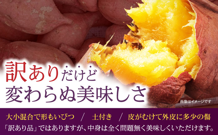 【訳あり】栽培期間中農薬不使用 安納芋 5kg / いも イモ 芋 さつまいも さつま芋 サツマイモ 安納芋 スイーツ 訳あり 訳アリ 野菜 / 諫早市 / ふるさと有明ファーム [AHAQ002]