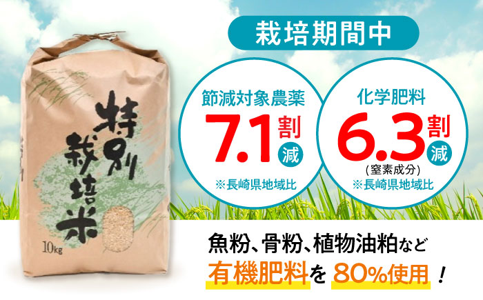 【年内配送】(12/23入金分まで)【R7年新米】九州のこだわり「ひのひかり」玄米 10kg / 米 おこめ お米 玄米 ひのひかり / 諫早市 / 上島農産 [AHAS004] 新米 しんまい