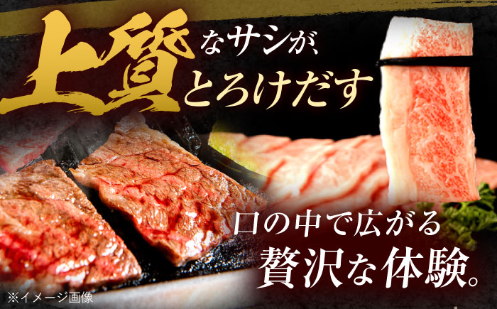 長崎和牛 バラカルビ 焼肉用 600g / 牛肉 ぎゅうにく 肉 和牛 国産牛 焼き肉 やきにく / 諫早市 / 西日本フード株式会社 [AHAV007]