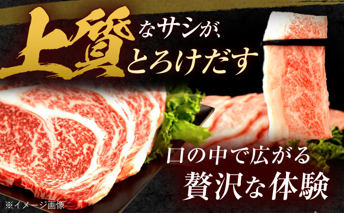 長崎和牛 ステーキ・焼肉セット 600g×2パック / 牛肉 ぎゅうにく 肉 和牛 国産牛 焼き肉 やきにく ステーキ すてーき / 諫早市 / 西日本フード株式会社 [AHAV008]
