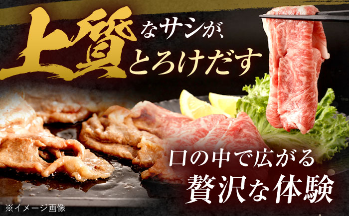長崎和牛 ローススライス 600g / 牛肉 ぎゅうにく 肉 和牛 国産牛 すき焼き しゃぶしゃぶ / 諫早市 / 西日本フード株式会社 [AHAV010]