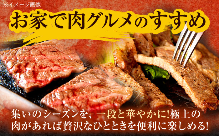 【12回定期便】長崎和牛 ステーキ・焼肉セット 600g×2パック / 牛肉 ぎゅうにく 肉 和牛 国産牛 焼き肉 やきにく ステーキ すてーき / 諫早市 / 西日本フード株式会社 [AHAV036]