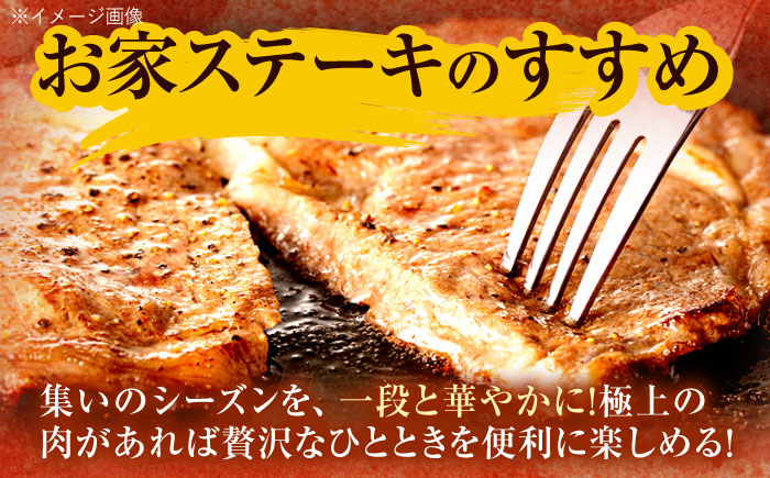 【3回定期便】長崎和牛 サーロインステーキ 600g（200g×3枚）/ 牛肉 ぎゅうにく 肉 和牛 国産牛 サーロイン ステーキ すてーき / 諫早市 / 西日本フード株式会社 [AHAV037]