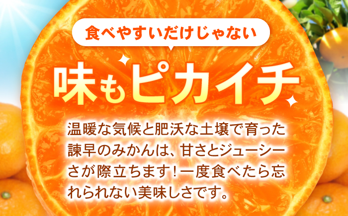 諫早産みかん 10kg / みかん ミカン 蜜柑 フルーツ ふるーつ 果物 くだもの 10kg / 諫早市 / 松尾農園 [AHAY028]