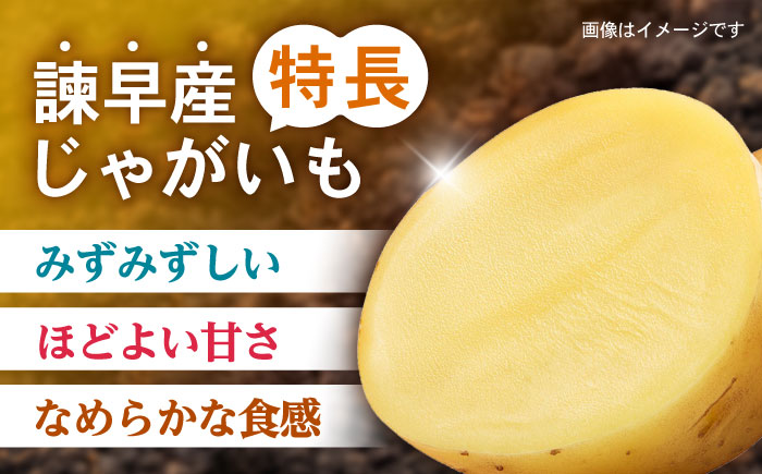 諫早産じゃがいも 10kg / じゃがいも ジャガイモ いも イモ 芋 野菜 やさい 10kg / 諫早市 / 松尾農園 [AHAY031]