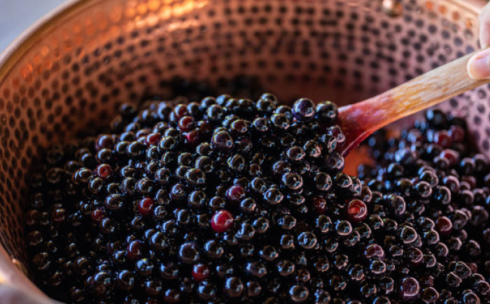 季節のジャムとグラノーラ セット / ジャム グラノーラ おやつ ドライフルーツ / 諫早市 / のんびり山 [AHBA007]