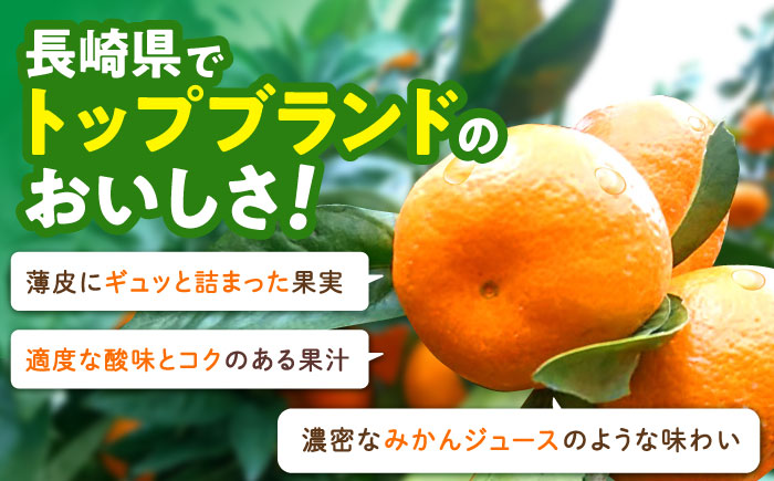 伊木力温州みかん5kg(ご家庭用、箱入り) / 伊木力 温州みかん みかん ミカン 蜜柑 佐瀬 諫早 多良見 長崎 / 末永果樹園 [AHBD003]