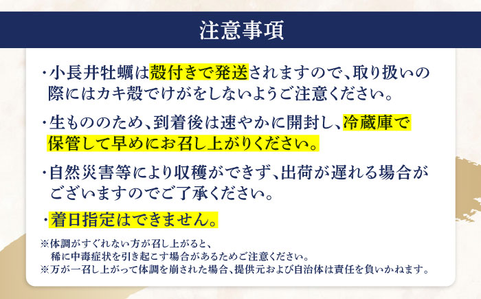 <先行予約>小長井牡蠣（殻付き）3kg 牡蠣ナイフ付き / かき カキ 牡蠣 海鮮 / 諫早湾漁業協同組合 [AHBJ005]