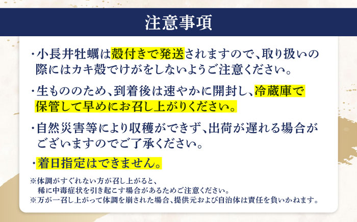 【2回定期便】長崎県諫早市小長井牡蠣(殻付きカキ)3kgカキナイフ付き / 牡蠣 かき　カキ 小長井牡蠣 貝 / 諫早市 / 諫早湾漁業共同組合 [AHBJ010]