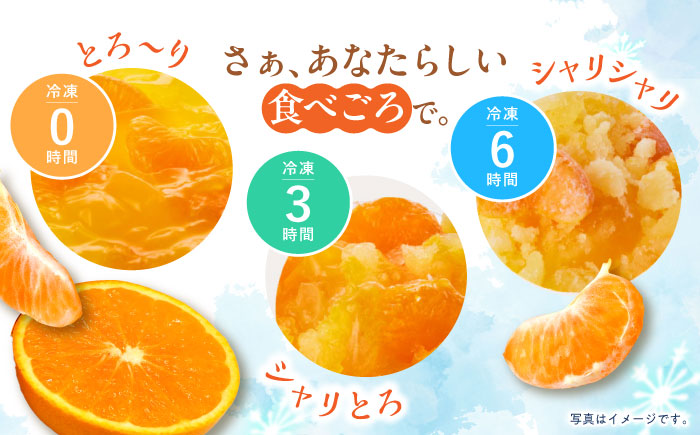 【年内配送】(12/17入金分まで)とろける味わい 200g 6種×各6個 計36個セット(みかん・ミックス・白桃・ぶどう・ピンクグレープフルーツ・シャインマスカット) [AHBR040]