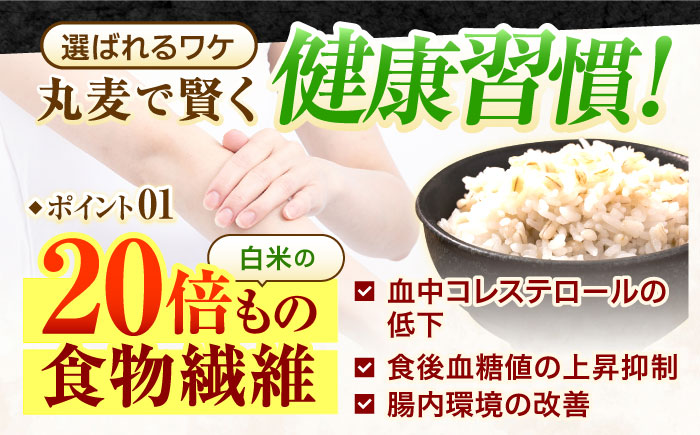 丸麦 (長崎県産) 20kg / 麦 むぎ 雑穀 雑穀米 麦ごはん 麦みそ 麦味噌 食物繊維 長崎県産 米 こめ コメ ※ / 諫早市 / 有限会社伊東精麦 [AHBU001]
