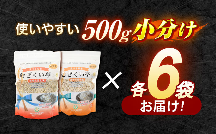 【諫早市市制施行20周年特別企画】むぎくい亭 (丸麦500g×6・裸麦500g×6) 計6kg / 麦 丸麦 はだか麦 裸麦 麦味噌 雑穀 雑穀米 食物繊維 長崎県産 米 こめ コメ ※ / 諫早市 / 有限会社伊東精麦  [AHBU002]