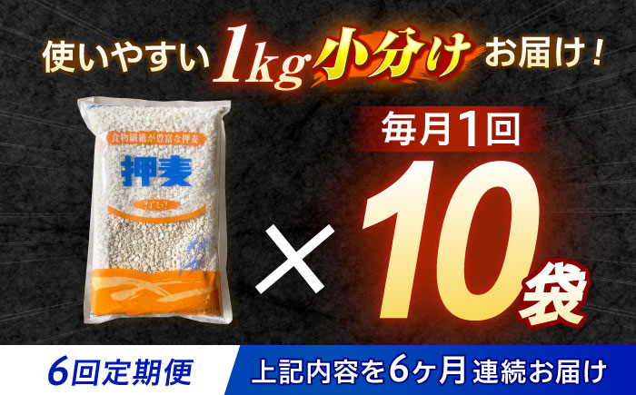 【6回定期便】押麦「長崎御島」1kg×10袋 計10kg / 麦 むぎ 押麦 はだか麦 麦味噌 雑穀 雑穀米 食物繊維 小分け 長崎県産 米 こめ コメ ※ / 諫早市 / 有限会社伊東精麦 [AHBU011]