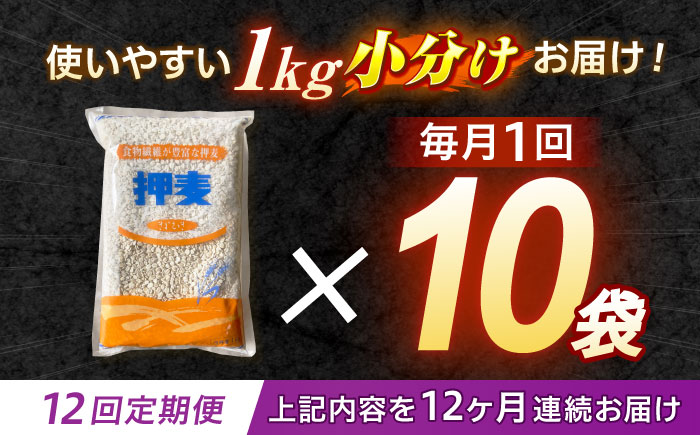 【12回定期便】 押麦「長崎御島」1kg×10袋 計10kg / 麦 むぎ 押麦 はだか麦 麦味噌 雑穀 雑穀米 食物繊維 小分け 長崎県産 米 こめ コメ ※ / 諫早市 / 有限会社伊東精麦 [AHBU012]