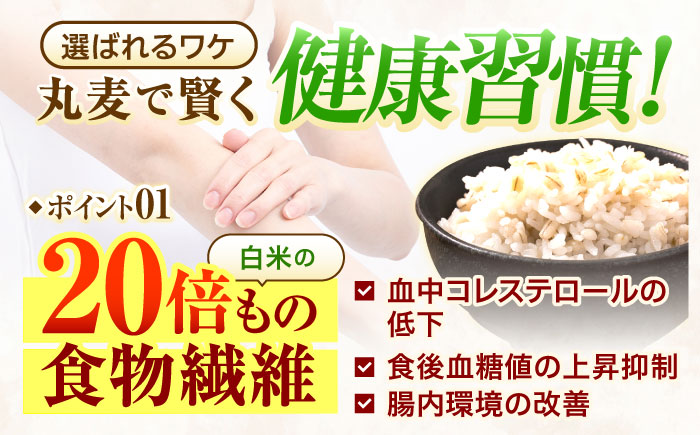 【12回定期便】長崎県産 丸麦 5kg / 麦 むぎ 雑穀 雑穀米 麦ごはん 麦飯 麦みそ 食物繊維 / 諫早市 / 有限会社伊東精麦 [AHBU016]